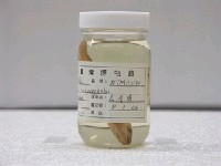 藏品(粗首鱲)的圖片